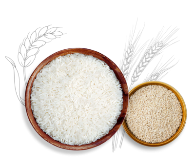 rice-bowl